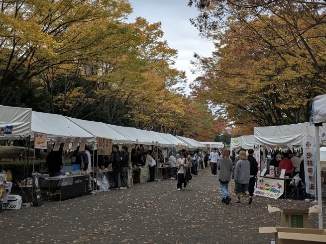 LINE_ALBUM_20241117_250724_4 2